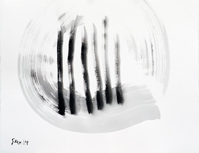 5-2014 verticaux 51x66 chf 2000.jpg